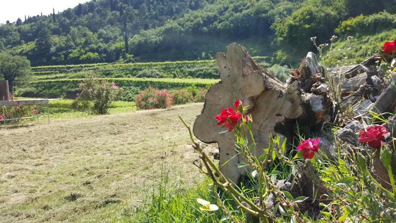 La Casetta Di Chiara Fumane Eksteriør bilde